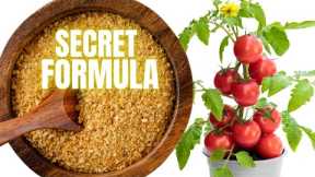 SECRET POWDER That Boost Plant Growth Prevents Disease And Keeps Pest Away!!!