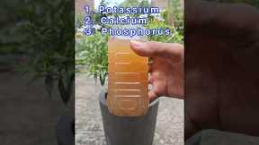 Natural organic fertilizer for any plants #shorts #naturalfartilizer #plants