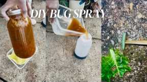 DIY Homemade Inscet/Bug Spray For Vegetable Garden (Detailed Video) #bug #diy