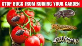 Secret Natural Remedies to Keep Bugs Out of Your Vegetable Garden Forever