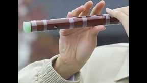 Beginner-Friendly Bamboo Flute | Playing a Dong Xuehua Dizi with Smooth Tones