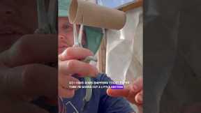 Natural Pest Control Trick Every Gardener Should Know!