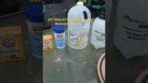 Garden DIY Natural pesticide #garden #mybackyardgarden #gardeningtips #gardendelight #diy #water