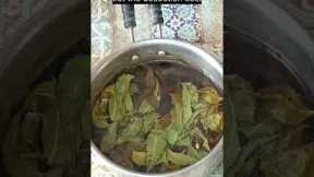 Neem Pesticide Spray for Plants - Organic Pesticide