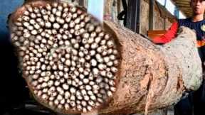 shocking! discovery while chopping large teak wood at sawmill