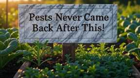 How I Stopped Pests for Good with This Secret Homemade Garden Spray