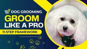 Dog Grooming-Guide for Beginners Instructional video