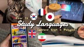 How I Study 3 Languages at Once! | Polyglot Language Learning Tips & Routine