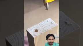 🤯No Screws, No Nails: These Wood Joints Are Pure Genius!#woodworking #diy #tools #carpentry #shorts
