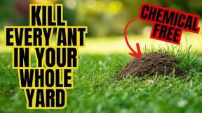 Natural Way To Rid Your Entire Yard Of ANTS (WITHOUT CHEMICALS)
