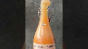 The secret to turning any juice into a natural probiotic soda 🫧 #ad