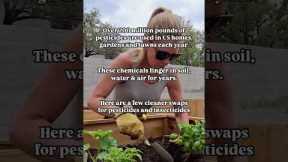 Ditch the Toxins: Safe, Effective Alternatives to Pesticides & Herbicides for a Thriving Garden 🌱