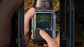 Magically transform a film camera into a digital one