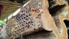 Woodworking Surprise!! Giant Snake Found Inside Rotten Teak Wood at Sawmill
