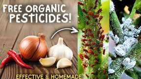 5 Natural Kitchen Based Pesticides For Vegetable Plants! (All Organic) 