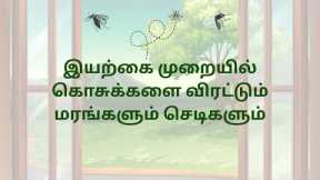 Trees and Plants That Naturally Repel Mosquitoes - Proven Science