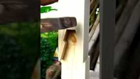 Awesome No Screw With Japanese Woodworking Joints #shorts