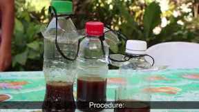 #𝗦𝗢𝗟𝗨𝗦𝗬𝗢𝗡 | How to prepare natural Insect Attractants