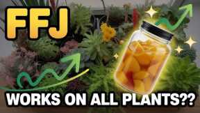 I Tried Fermented Fruit Fertilizer – Here Are The *Actual* Results!