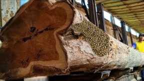 Luckily found it first!! Be careful, there something in this wood sawmill