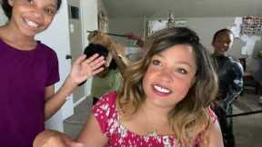 Favorite Homeschool Resources: Hillsdale College Online - FREE Online Lectures and Quizzes