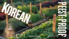 Build a Korean Pest-Proof Edible Ecosystem (Why Pests CAN'T Survive These Gardens)