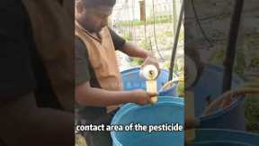 Natural insect repellents to keep away from chili peppers#farming #agriculture #microorganism