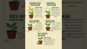 5 DIY Plant Fertilizer at Home #plants #garden #gardening #plantcare #fertilizer #fertilizertips