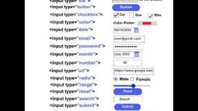 HTML Input Tags List Tutorial For Beginners (Web Development)