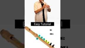 How to Play the Baby Stop   Recorder Flute in Easy Steps