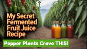 The Fermented Fruit Juice 'Hack' That Beats Expensive Fertilizers for Peppers