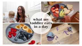 What my Toddler Eats in a Day (easy vegan healthy recipes for BUSY moms)