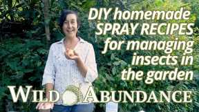 DIY homemade organic pesticide recipes for insects & pests in your garden & permaculture food forest