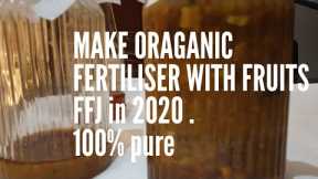 #How to make# Fermented Fruit juice # FFJ# 100 % pure organic fertiliser at home in 2020 .Easy/quick