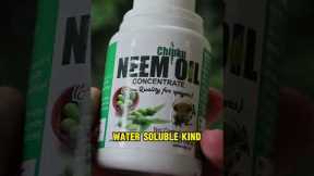 Neem Oil for Plants: Don't Make THIS Mistake! 🤯