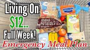 Eating on $12 a Week | Easy, Healthy & Cheap Recipes for an Emergency Budget