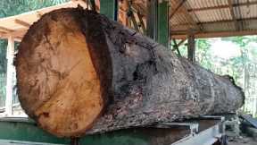 The appearance of beautiful mahogany wood grain makes it expensive in sawmills. 