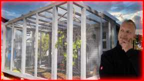 DIY Aviary Build: Installing Gates and Mesh