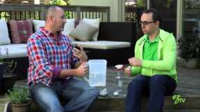 How To Make Organic Insect Repellent