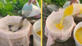 One Liquid for Growth & Pest Control That Nourish Your Garden Conditions  