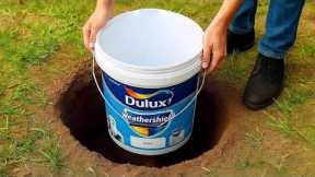 Drop the old paint bucket into the hole you be Amazed. Millions of people don't know this secret 😱!