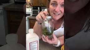 Making bug repellent at home from beautyberry leaves!