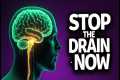STOP Your Dopamine Drain: The 24-Hour 