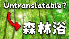 Are There Any Untranslatable Japanese Words?