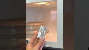 DIY Natural Bug Repellent – No More Flies, Roaches, or Mosquitoes! 🌿☕